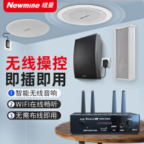 Newman wireless Bluetooth ceiling audio home living room speaker subwoofer surround background music wall mounted speaker