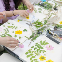 Plant dyeing material package rubbing printing and dyeing tools tie-dye diy childrens kindergarten knocking flower grass leaves sail fabric