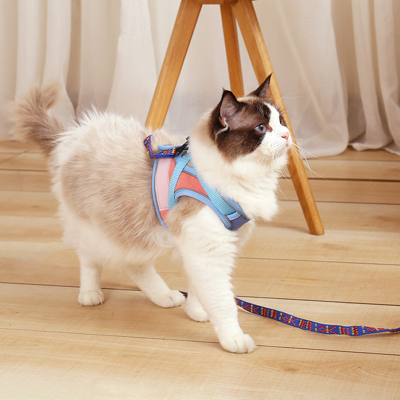Kitty traction rope vest type chest holding baby bag for special anti-earning off cat chain Sub-flex Cat Rope Supplies
