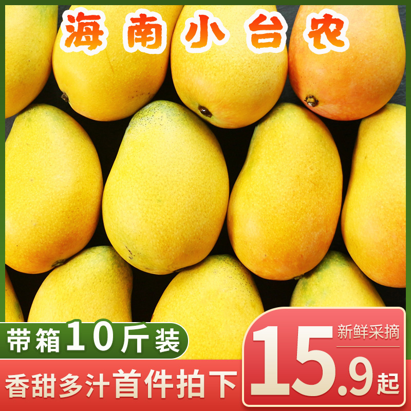 海南小台农芒果图片_1