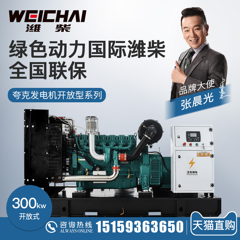 WeiChai Shares 300kw Diesel Generator Unit WP12D353E200 Mine Common 300 KW brushless 380v