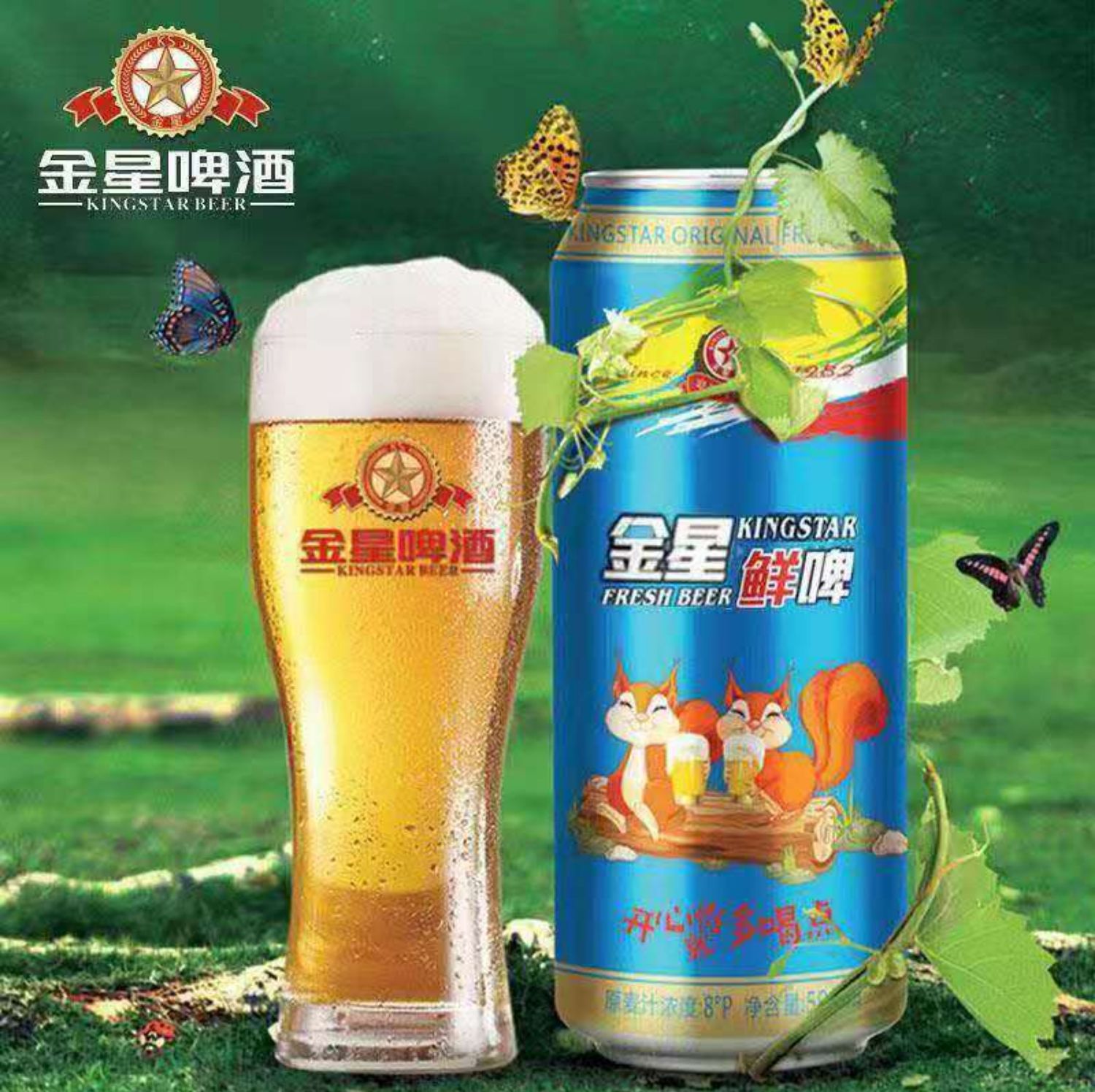 【金星】啤酒鲜啤500ml*24大罐