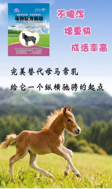 ນົມຜົງ Mutianli foal, ຫາຍສາບສູນ, foal ປະຖິ້ມໄວ້, ເຈັບ, foal ອ່ອນແອ, ບໍ່ມີນົມ, ນົມນ້ອຍ, foal ທີ່ຕ້ອງການໃຫ້ອາຫານ