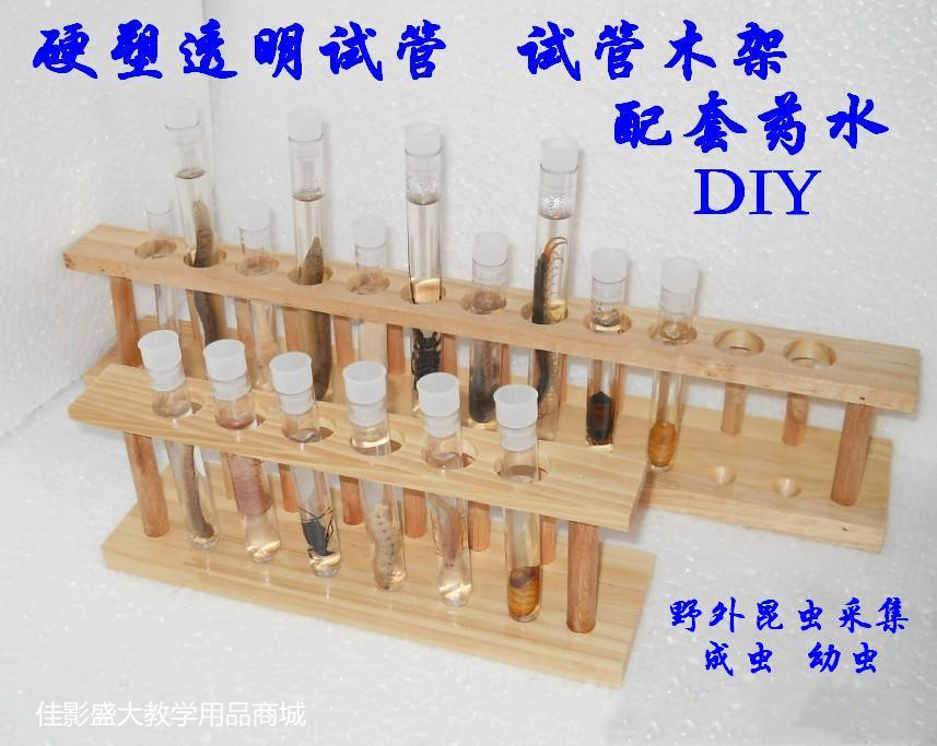透明试管木质试管架科学实验教学教具DIY浸泡收藏昆虫10元包邮