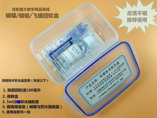 Образец бабочки, посвященный раствору с мягким консервантом, антикоррозион и смягчен обратно в программное обеспечение; дезодорирование также мягкие крылья;