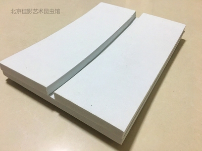 Simple butterfly insect EVA wing board whole posture board starter tool butterfly specimen practice hand with a piece of bead needle