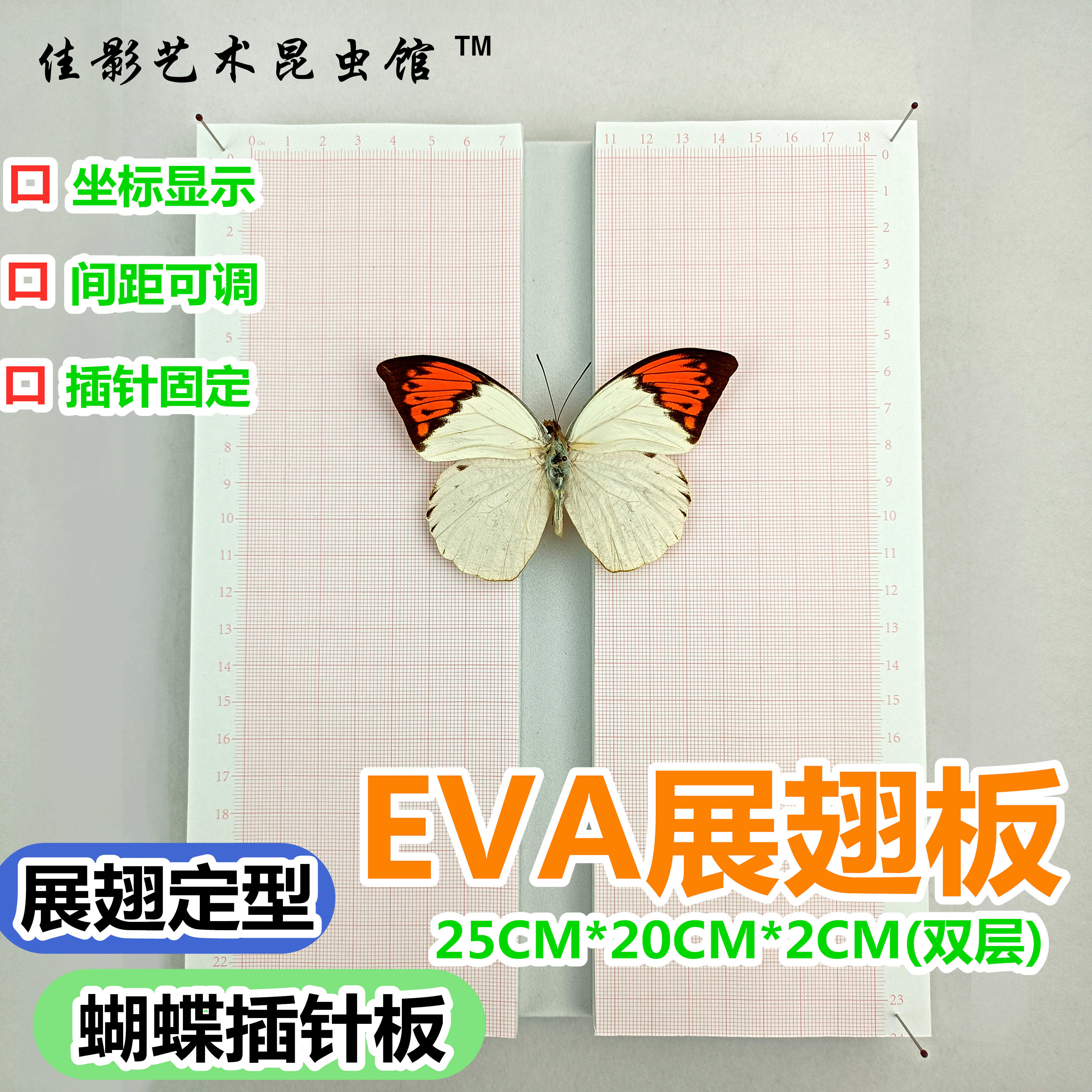 蝴蝶昆虫标本EVA展翅板整姿板 蝴蝶标本练手入门制作工具