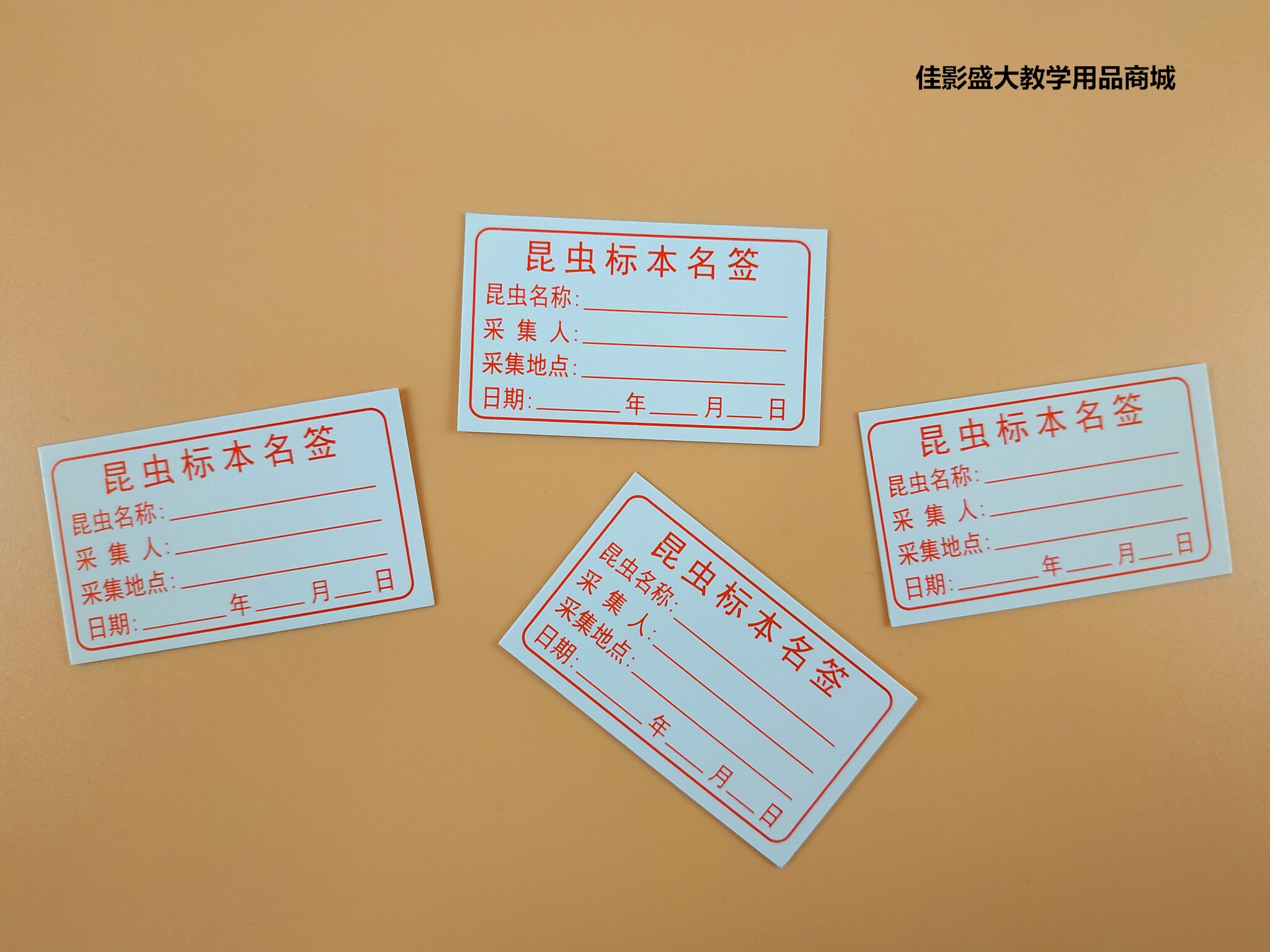 昆虫标签卡纸 3X5cm昆虫标本名签 采集标签50片/包 科普展览收藏