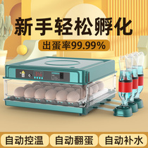 Incubator small household fully automatic smart egg bird duck goose cockatiel rutin chicken chick egg incubator machine