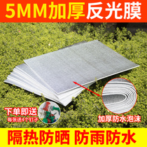 Beehive sun protection heat insulation reflective film box cover sun visor rainproof cloth waterproof bee thickening special tools for beekeeping
