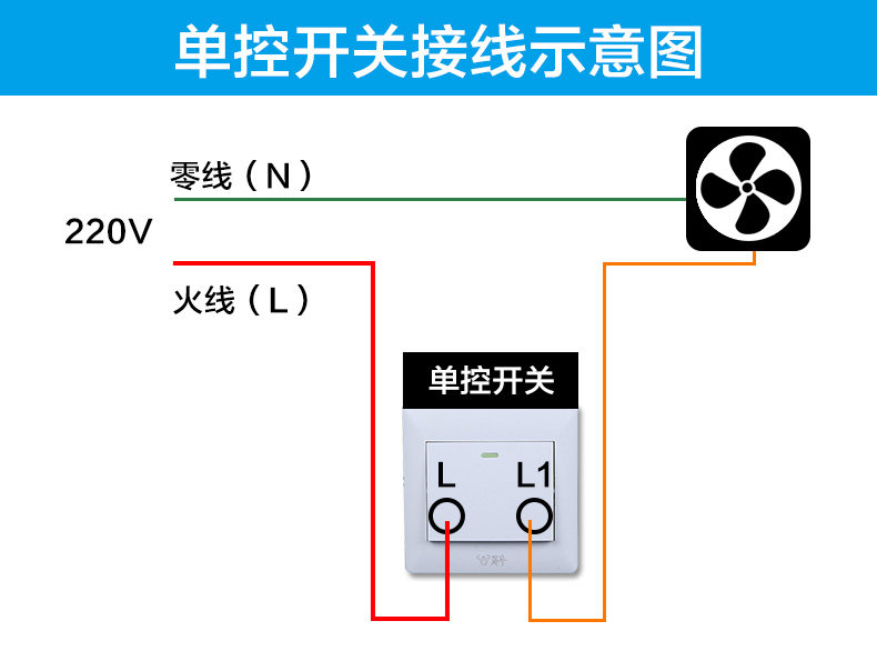 B9DC-details_16.jpg