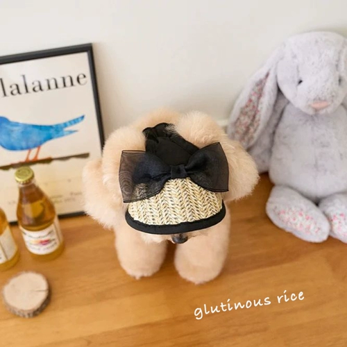 Собака французская леди кружева соломенная шляпа домашние животные элегантные декоративные летние солнцезащитные крем