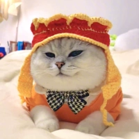 Путешествие в западную шляпу Seng S [0 ~ 5 Catties]