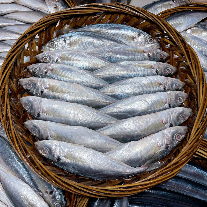 潮汕特产汕头打冷巴浪鱼饭：鲜甜不过咸，每日现煮的美味享受！🐟✨