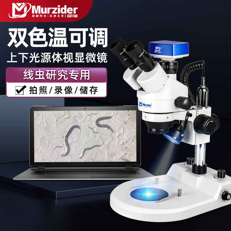 体视显微镜手机维修检测LED上下光源卤素灯电子元件看线虫MSD207
