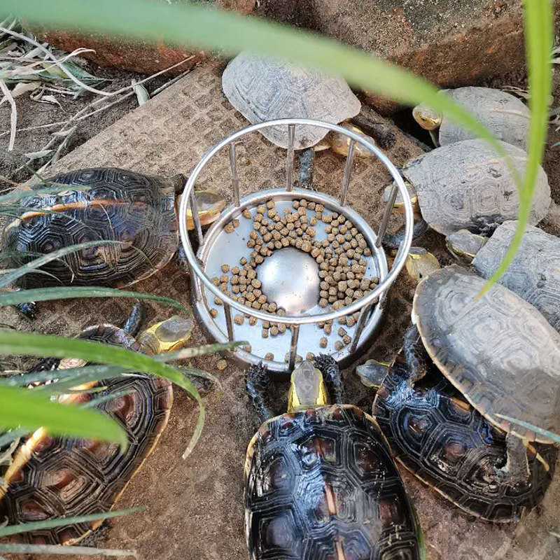 Yellow edge turtle feeding basin Turtle feeder An edge platform edge closed shell turtle Tortoise feeding table Climbing pet semi-water turtle basin