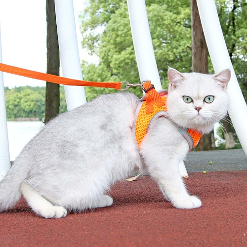 Жилета -тип кошачья тяга защита от веревки, чтобы вырваться из специального британского короткого серебряного градиента дышащего грудного ремня для ремня для грудного ремешка