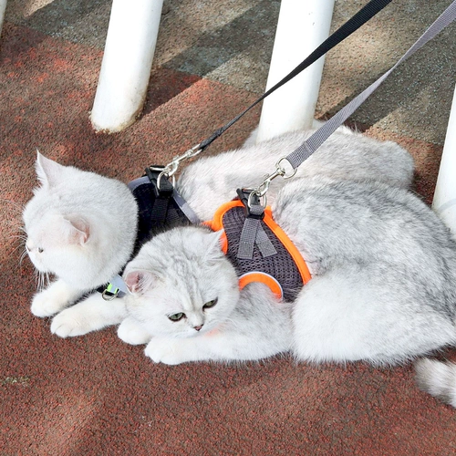 Жилета -тип кошачья тяга защита от веревки, чтобы вырваться из специального британского короткого серебряного градиента дышащего грудного ремня для ремня для грудного ремешка