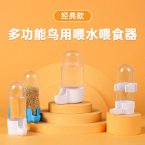 Bird with water drinker Automatic feeder feed water Drinking water Drink tiger leather Parrot food box Feeding the bird Bird Cage Accessories Supplies