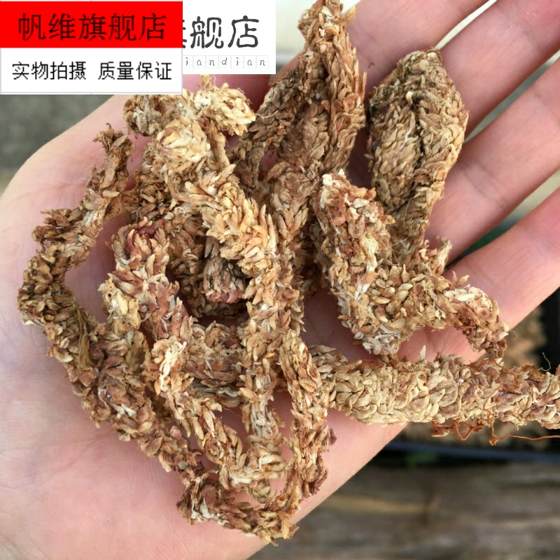 Chilean Water Tundra Brassica Moss Plant Material matrix Nutrition soil Multi-meat Orchid Caterpillar Fungus Butterfly special earth