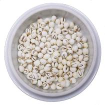 Sichuan Fritillary Sichuan 50g imitation wild-grown Sichuan Fritillaria Chinese medicinal material Pine Fritillary powder non-special grade non-500g