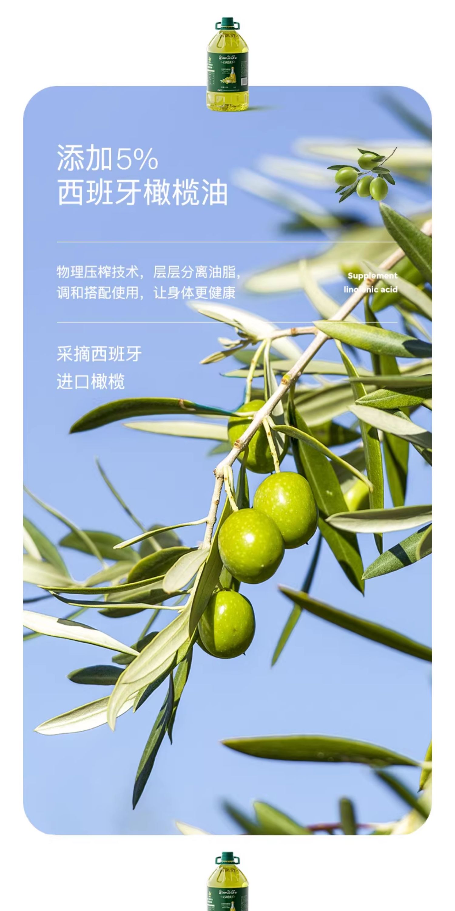 安享好物 安享S级调和油-巧媳妇橄榄调和油 国标 