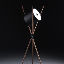 Nordic minimalist modern Italian living room art floor lamp designer model room creative black walnut floor lamp