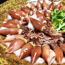 Mini squid firefly squid 1 pack of 20 pieces 100g slightly blanched and ready to eat contains 10 packs