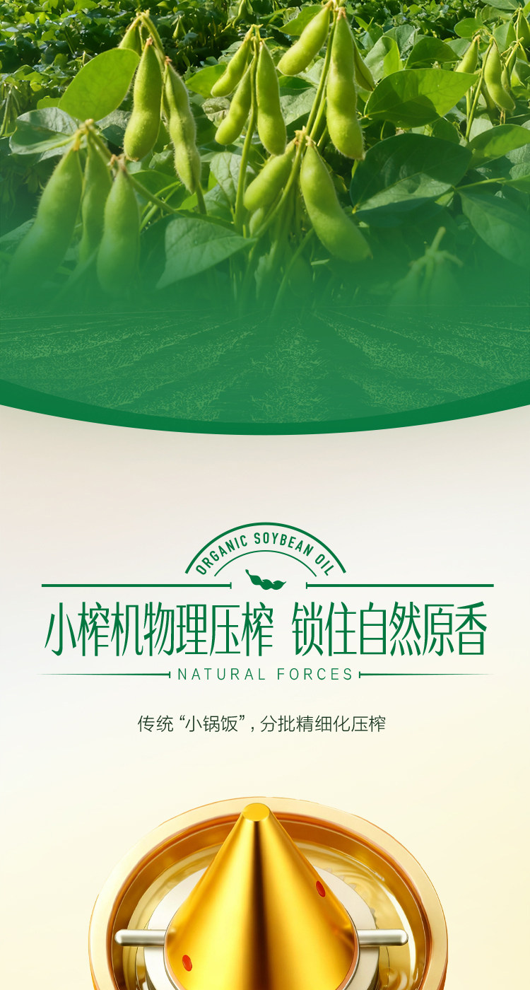安享好物 安享S级大豆油-金龙鱼有机大豆油 国标