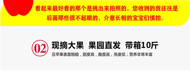 【10斤】甘肃静宁冰糖心丑苹果新鲜大果