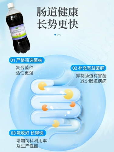 Курица птицы птицы, удобрения для утиного гуся