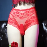 Мужское сексуальное нижнее белье прозрачное искушение показывает,