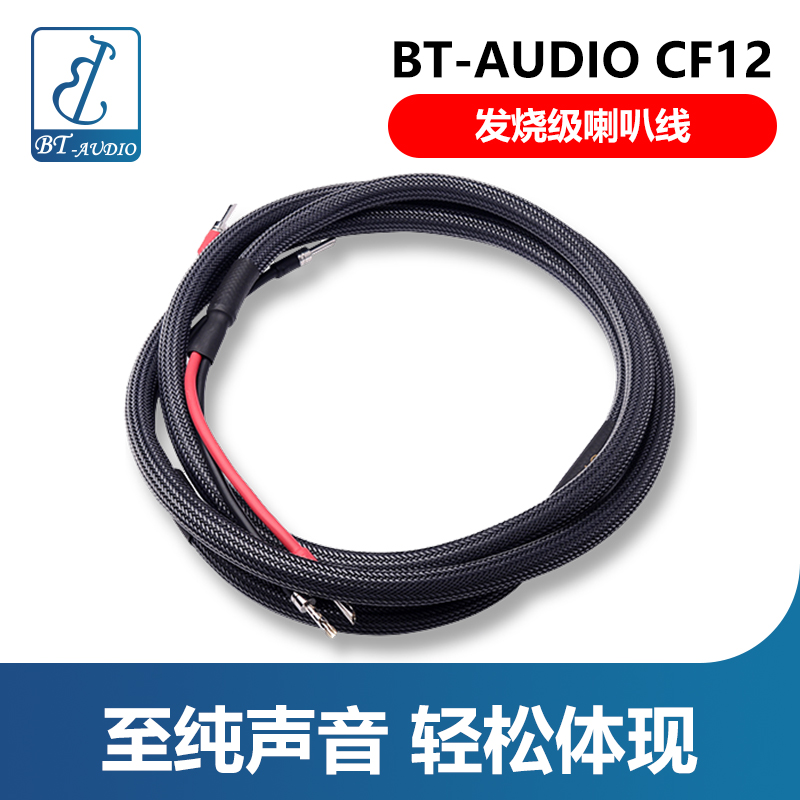 BT-audio CF12 power amplifier speaker cable high purity copper fever HIFI horn cable