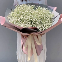 Большой луч белых классических моделей отправляет лампы