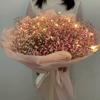 Большой луч розовых классических моделей отправляет лампы