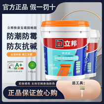 Nippon Paint wall solid wall reinforcement putty wall glue solidified ground solid concrete sand solid interface agent