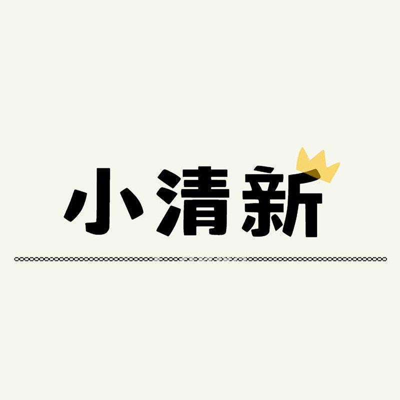 小清新皮草的LOGO