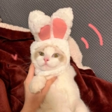 Удерживающий тепло шлем, милая шапка, аксессуар для волос, золото и серебро