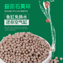 Kaif fish tank filter material nitrification bacteria house culture ceramic ring Super net aquarium activated carbon quartz ball