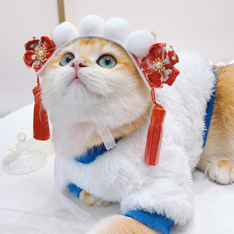 Cute cat hood hat Teddy Bomeby bear dog dress up accessories English short Garfield blue cat transform headdress