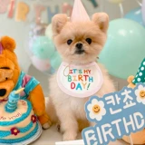 Полотенце из слюны кошек и собак, свежая кукла в стиле принцессы, сине-белый британский короткий шарф на шею в виде плюшевого корги, аксессуары, день рождения