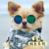 Солнцезащитные очки, брендовый аксессуар, популярно в интернете