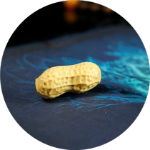 Yellow poplar wood engraving simulation wood peanut handlebar piece mobile phone U disc key pendant wedding supplies Handicraft