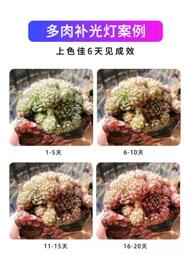 星锐 Заполняющий свет, лампа для продуктов на солнечной энергии, комфортный световой спектр