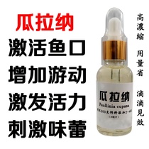 Guarana fishing small medicine Guarana original liquid Guarana extract Guarana small medicine to promote opening poly bait