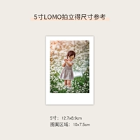 5 -INCH Photo (Lomo Style)