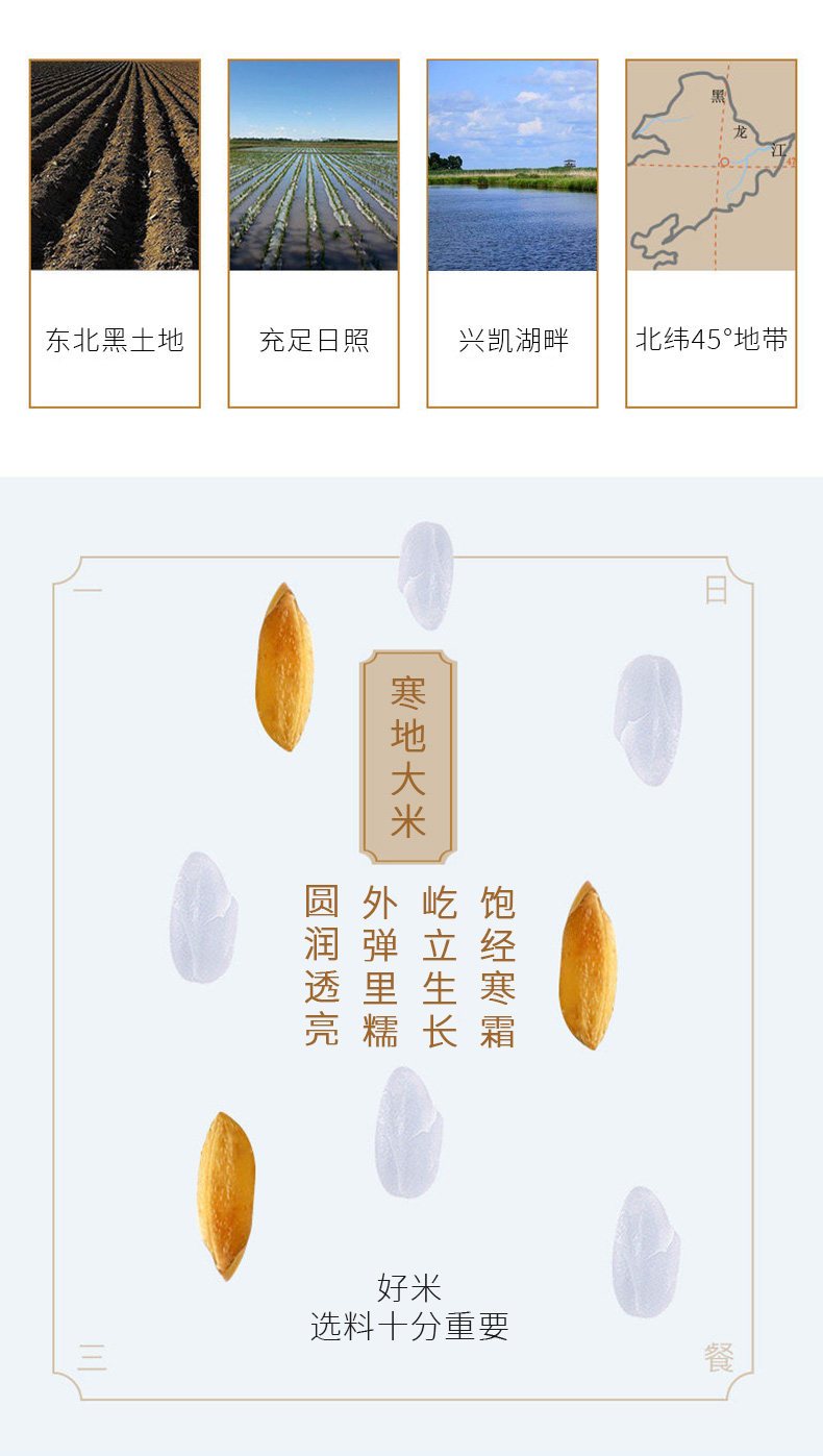 黑龙江寒地长粒香米5斤 图4