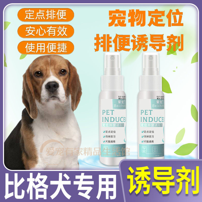 Bigdog special pet pooch-inducing agent dog defecating on the toilet and defecating the toilet with a toilet cuppa.