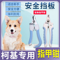Kokie Special Trimmer God Instrumental Grinders Mini dog puppies nail clippers nail clippers nail clippers anti-catch dogs