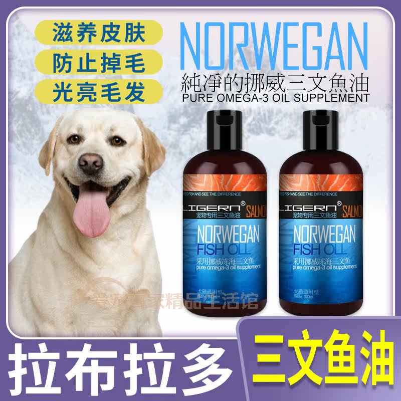 Labrador special black nostrils young dog bodybuilding dog salmon oil beauty hair skincare anti-hair health products